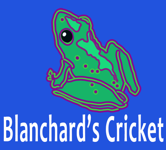 blanchards cricket frog