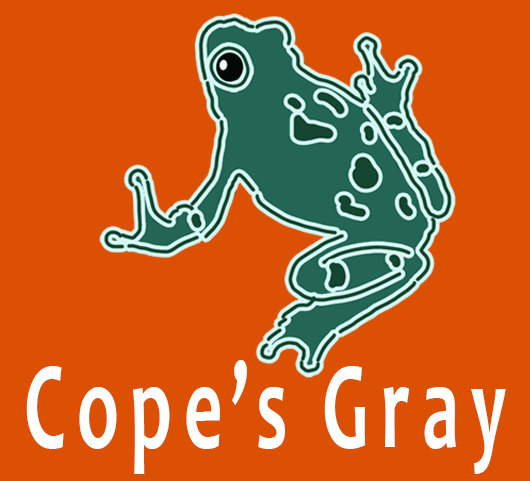copes grey tree frog