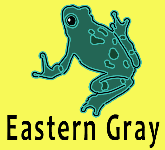 eastern grey