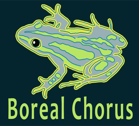 boreal chorus frog