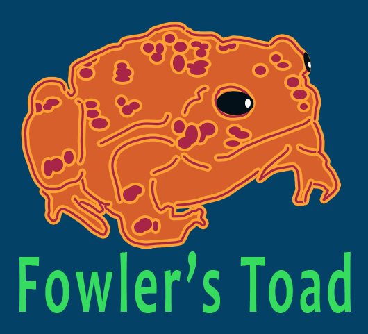 fowlers toad